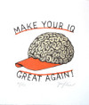 /products/make-your-iq-great-again-jiri-sliva-grafika-volny-list/